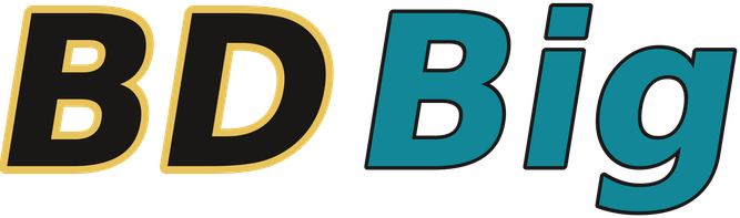 BDBig logo